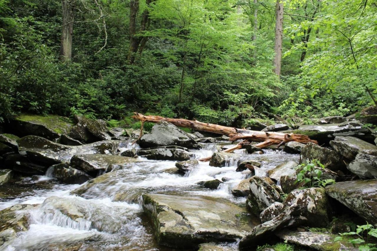 Sky High Views!!-Peak Mountaintop-Outdoor Pool-Close To Downtown-Private Balcony-Wifi-Cable Gatlinburg Extérieur photo